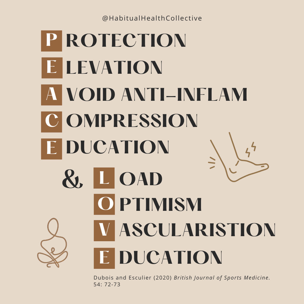 Managing Acute Inflammation: The PEACE & LOVE Approach